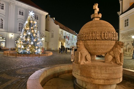 Milyen lesz Fehérvár karácsonyfája? - idén is várja a felajánlásokat a Városgondnokság